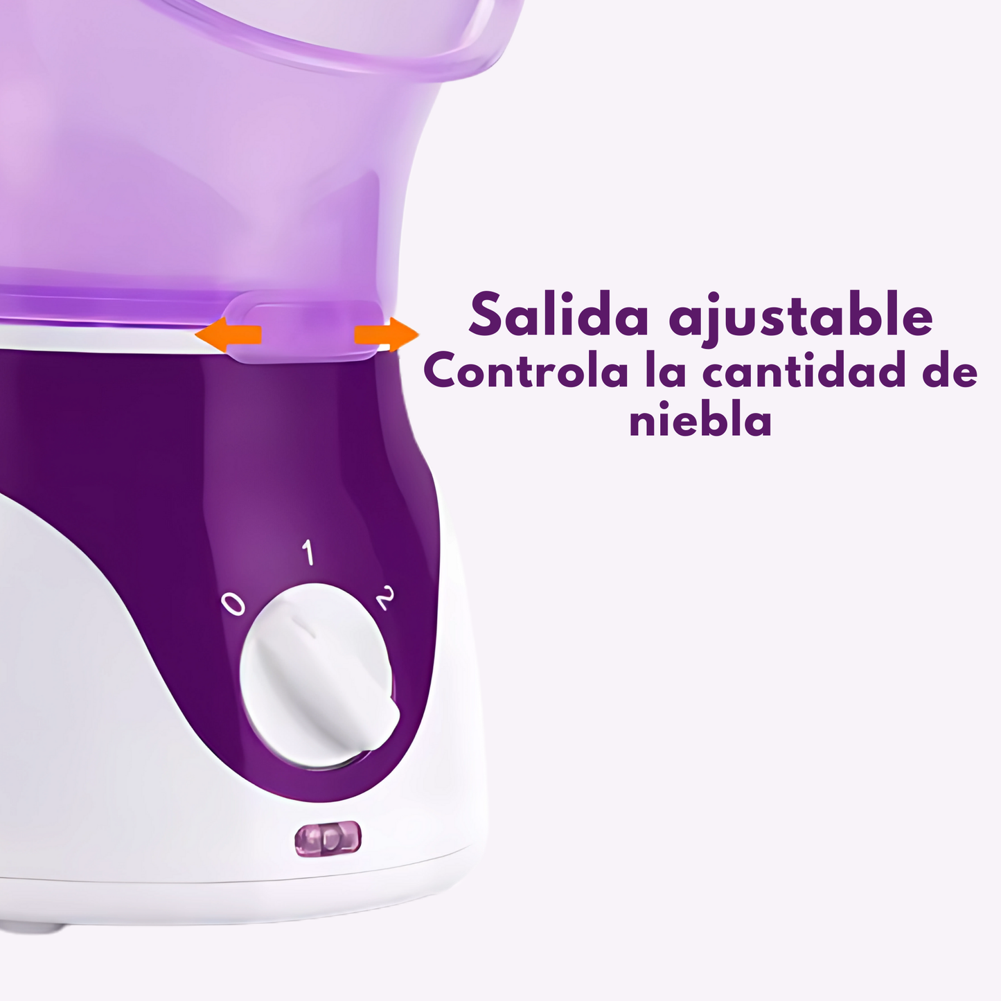 Vaporizador facial